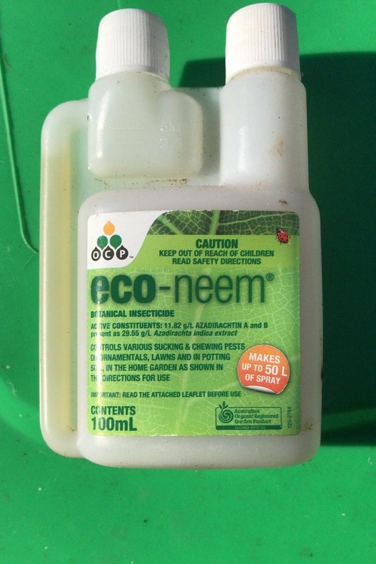 زرغون چينجې لمنځه ورلو درمل : د بوټو د چینجیو د مخنیوی لپاره eco-neem دارو کارولئ شئ. Active Constituents: 11.82g/L Azadirachtin A & B present as 29.55 g/L Azadirachta Indica extract