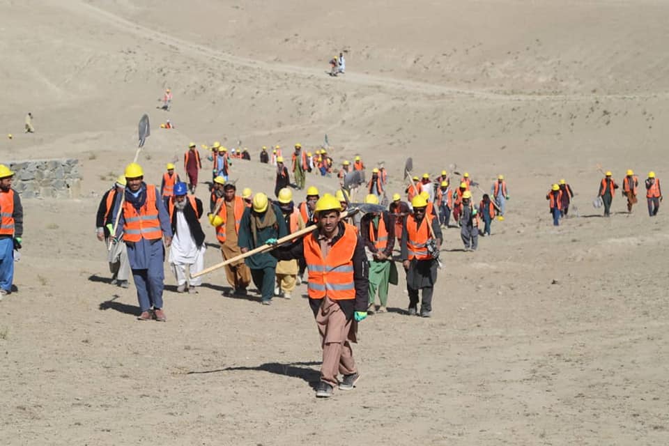 د کارپه بدل کې دغنمو ویش ترعنوان لاندې داوبو مدیریت کولو برنامه پیل شوه