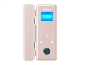 Liwal Smart Glass Door Lock, Golden Edition