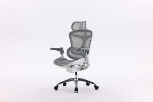 Sihoo C300 Pro Ergonomic Office Grey Chair Without Leg rest
