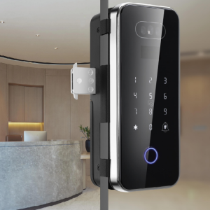 Liwal Smart Glass Door Lock, 3D Face Recognition, A7 SS