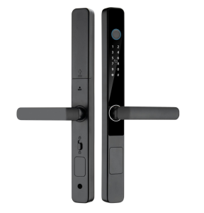 Smart Lock Aluminum Door