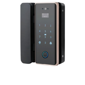 Liwal Smart Glass Door Lock, Rose Gold Edition