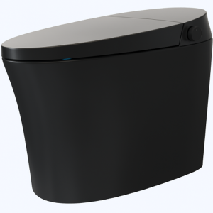 Liwal One Piece Floor Mounted Smart Toilet Matt Black