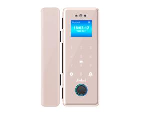 Liwal Smart Glass Door Lock, Golden Edition