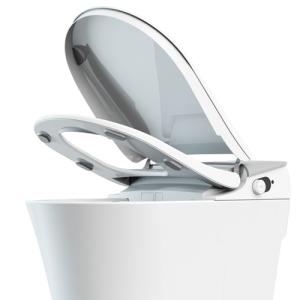 Smart Toilet P80 Pro