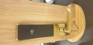 Hotel door lock golden