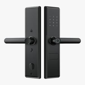 Smart Door Lock L-S821